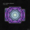 Flying Away - Gio Correia&Bekman