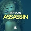 Assassin - Romaan