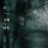在飞翔与迷失之间 (Lost) - 林彦俊