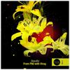 Beautiful (Original Mix) - From P60&Virag