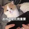 满城花开（Cover：何山） - 药尘