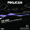 The Ones (Instrumental Mix) - Pimlican