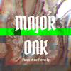 Ru Tur - Major Oak
