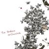 Shibui - The Broken Orchestra
