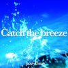 Catch The Breeze (Original Mix) - Jazzythm