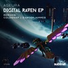 Digital Raven (SanderJammes Remix) - Asfura&Sanderjammes