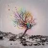 Colour In Your Hands(feat. Fink) - D.L.i.d&Fink