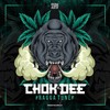 Ragga Tune - Chok Dee&Nzt