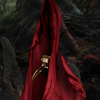 Animal - Claptone&Clap Your Hands Say Yeah