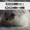Wet - Dosh