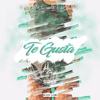Te Gusta (Explicit) - Noise Silver