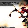 Sublimity (BluSkay Remix) - Souhail Semlali