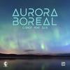 Aurora Boreal - C-shot&dj x