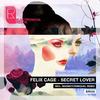 Secret Lover (Original Mix) - Felix Cage