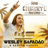 Sou Ciumento Mesmo - Wesley Safadão