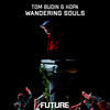 Wandering Souls - Tom Budin&kopa