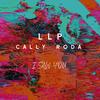 I Saw You(feat. Cally Roda) - LLP&Cally Roda