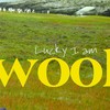 The Place - Wool