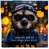 Bass Music - DeeJay Delta