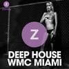 The Night of Chill House (Rhythm in Deep Mix) - Cem