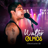 Virgencita del Valle (En Vivo en el Luna Park 2001) - Walter Olmos