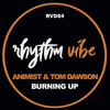 Climber (AR38 Remix) - Animist&Tom Dawson&AR38