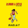 Runnin a Bitch (Explicit) - Harlay