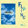 Flying - MiCON