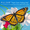 Flash Over (Domased Electronica Remix) - P U L S A R&Domased Electronica