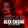 Meant to Be - Alex Casini&Joey Busse