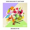 Because Of You - Steve Void&Tolani&BIG Z