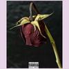 wav (Explicit) - The Masochist&Mthimunye Lungile&Sibanyone Sibusiso&Simphiwe Skhosana&Siboniso Shabangu