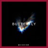 Butterfly - LinkBoyVicdk&迪力