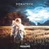 Black Belt (Domateck Remix) - Domateck&Hujaboy