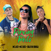 Pircing no Peito (Explicit) - Selo do Brega&Mc Lico&Mc Xess
