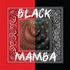 BLACK MAMBA (Explicit) - Jewlz&aisha morse