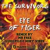 Eye Of Tiger (Luigi Pilo & Miky Vibes Remix) - The Survivors&Luigi Pilo & Miky Vibes