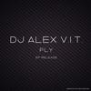 Fly (Radio Edit) - DJ Alex V.I.T.