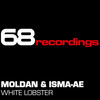 White Lobster (DJ Remy Remix) - Moldan&Isma-Ae