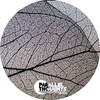 Funk Is Here - Marcello Perri