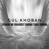 Zuwani Me Khaorey Showa Taba Showa - Gul Khoban