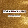 Hazard Perception Test (Explicit) - NOT A BOYS NAME