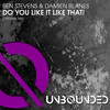 Did You Like That ! (Original Mix) - Ben Stevens&Damien Blanes