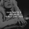 Girls Like You - Habitanto&Heldeus&Jason Evigan&Gian Michael Stone&Adam Noah Levine&Henry Walter&Brittany Talia Hazzard