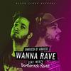 Wanna Rave (Lamberjack Remix) - Enrico D'Amico&Weezy