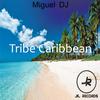 Tribe Caribbean (Original Mix) - Miguel Dj