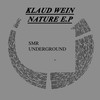 Natur (Original Mix) - Klaud Wein