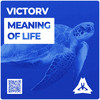 Meaning Of Life (Original Mix) - VictorV