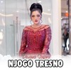 Njogo Tresno - Deviana Safara