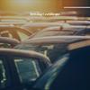 Posture - Coline Hoha